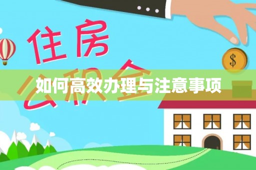 当雄如何高效办理与注意事项