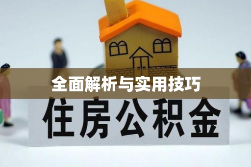 当雄全面解析与实用技巧