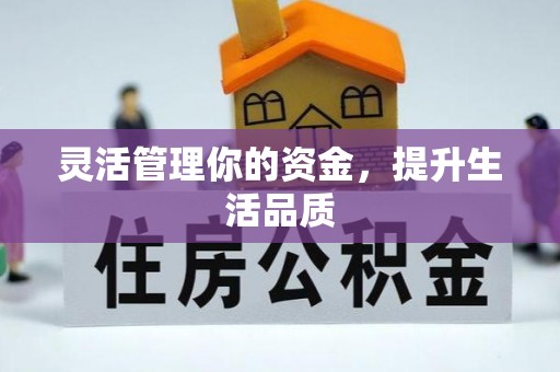 当雄灵活管理你的资金，提升生活品质