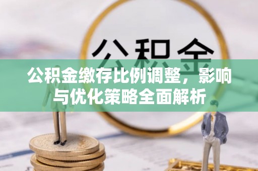 当雄公积金缴存比例调整，影响与优化策略全面解析