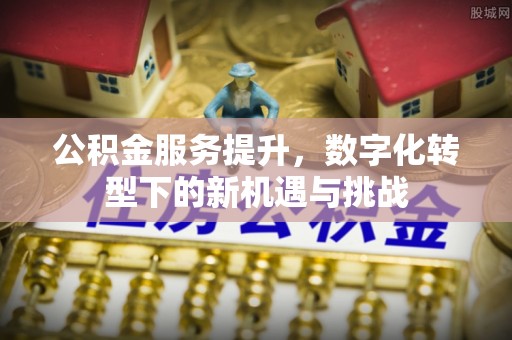 当雄公积金服务提升，数字化转型下的新机遇与挑战