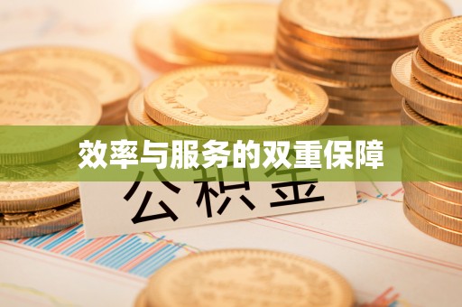 当雄效率与服务的双重保障
