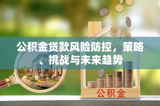 当雄公积金贷款风险防控，策略、挑战与未来趋势