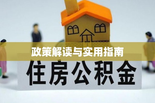 当雄政策解读与实用指南