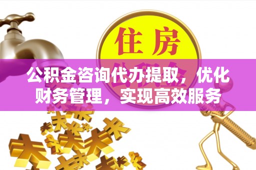 当雄公积金咨询代办提取，优化财务管理，实现高效服务