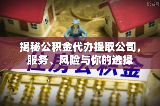 当雄揭秘公积金代办提取公司，服务、风险与你的选择