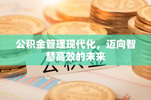 当雄公积金管理现代化，迈向智慧高效的未来