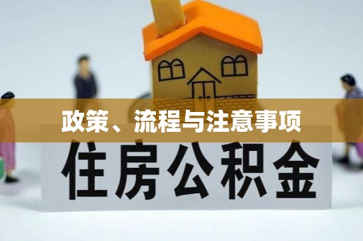当雄政策、流程与注意事项