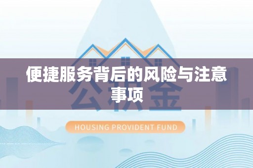 当雄便捷服务背后的风险与注意事项