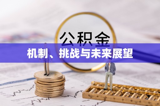 当雄机制、挑战与未来展望
